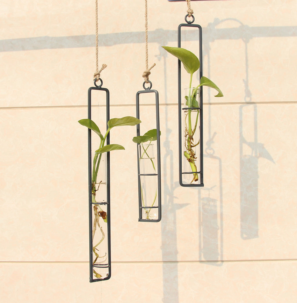 Aeris Hanging Glass Test Tube Vase