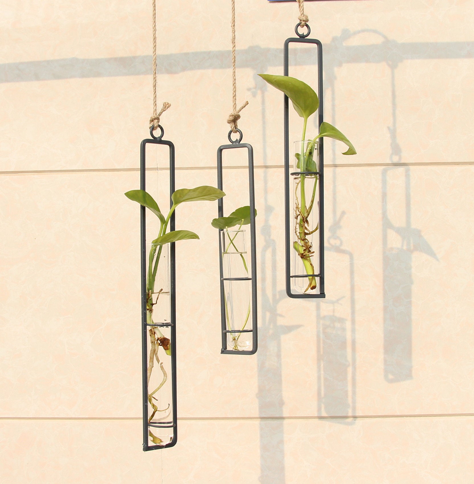 Aeris Hanging Glass Test Tube Vase