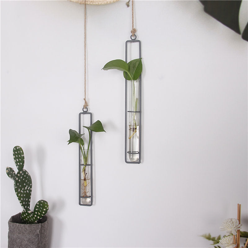 Hanging glass planters with plants on a white wall