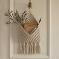 Macrame wall hanging with tassels and a plant on a neutral background