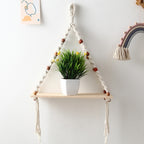 Hanging shelf with a plant on a white wall