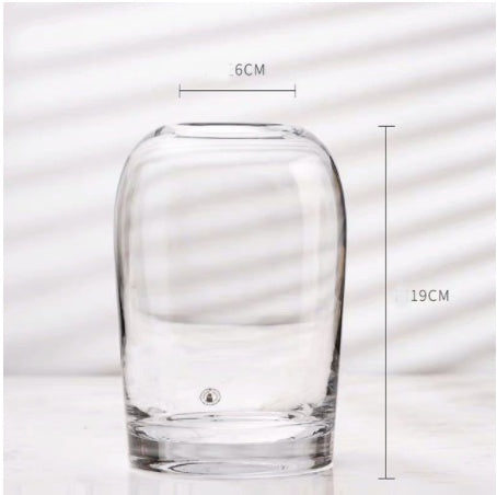 Clear glass vase with measurements on a white background