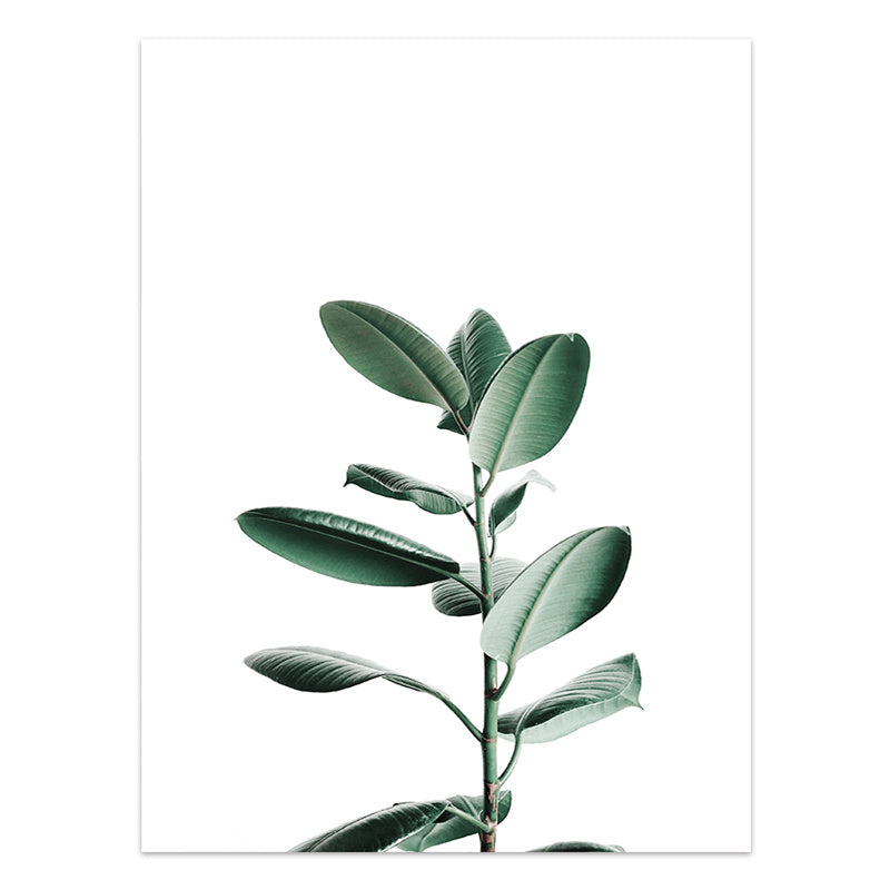 Green Leaf Serenity Wall Art. Green eucalyptus leaves on a white background