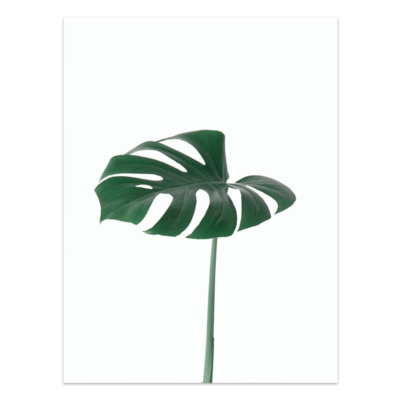 Artificial monstera leaf on a white background