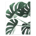 Green tropical leaves on a white background