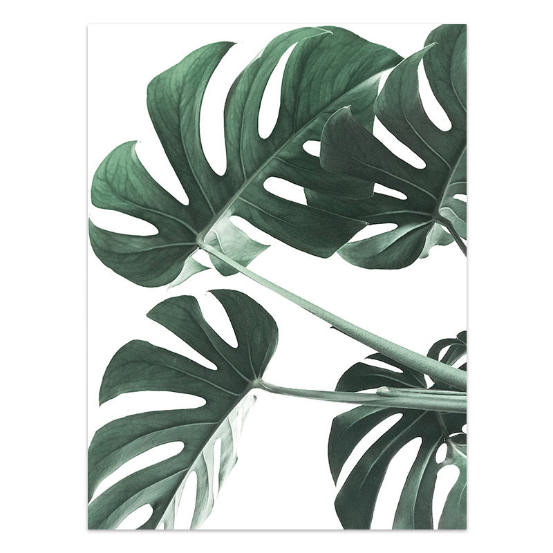 Green tropical leaves on a white background