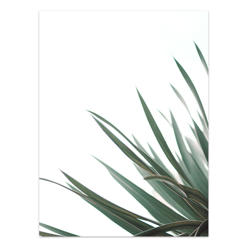 Close-up of green plant leaves on a white background