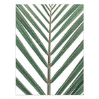 Close-up of a palm leaf with a chevron pattern on a white background