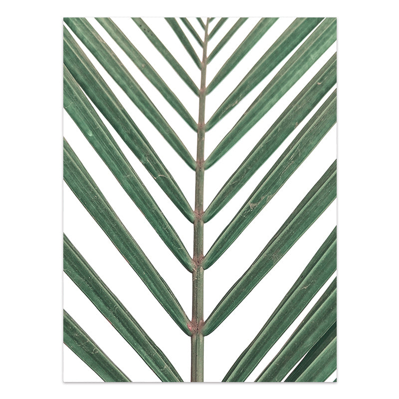 Close-up of a palm leaf with a chevron pattern on a white background