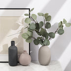 Decorative vases with a plant on a light surface, framed artwork in the background