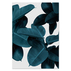 Teal leaves on a white background