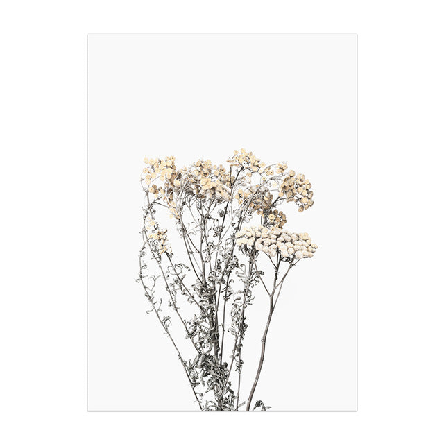 Dried flowers on a white background wallpaper 