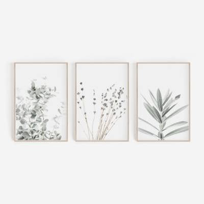 Three framed botanical prints on a white background