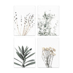 Set of four botanical prints featuring different plants on a white background