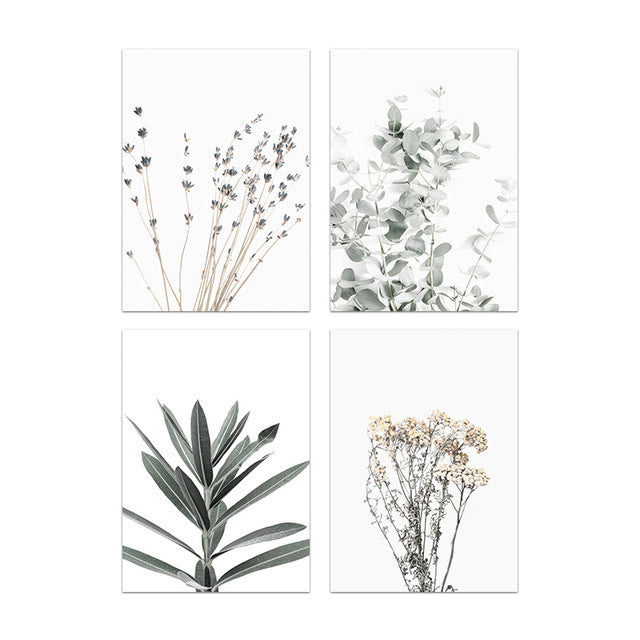 Set of four botanical prints featuring different plants on a white background