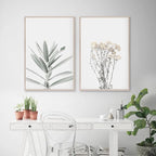 Two framed botanical prints on a wall above a white desk with plants.