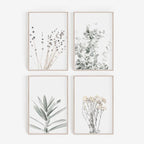 Four framed botanical prints on a white background