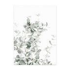 Framed artwork of eucalyptus leaves on a white background