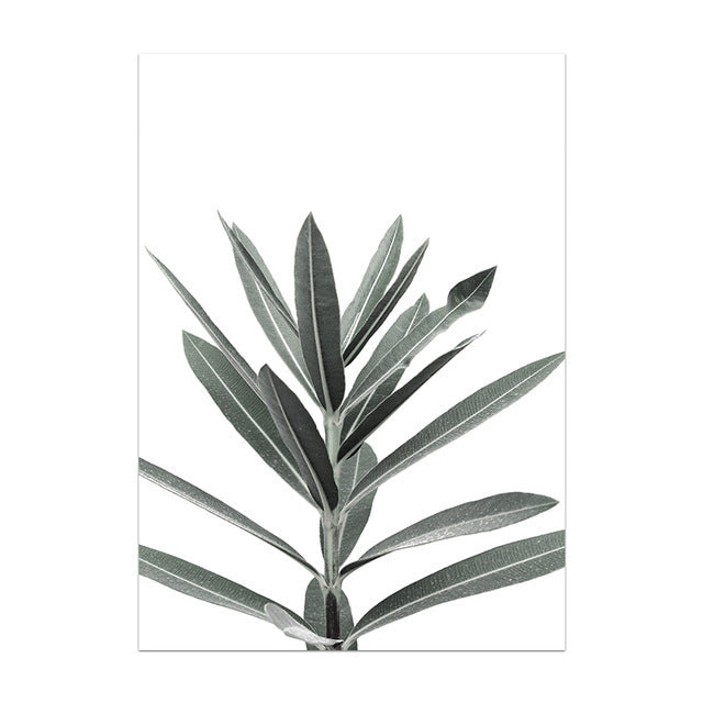 Black and white plant illustration on a white background